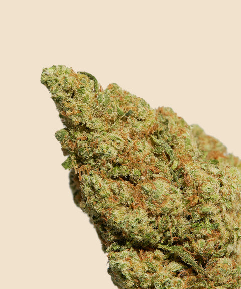 Amnesia Haze CBD Flower - CBD Blom