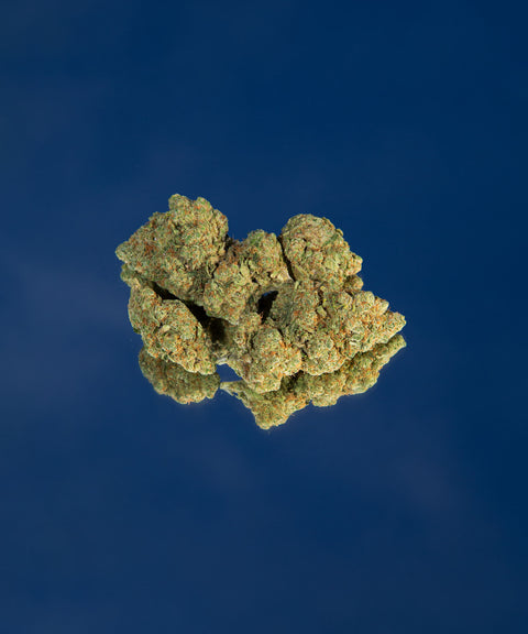 Amnesia Haze CBD Flower - CBD Blom