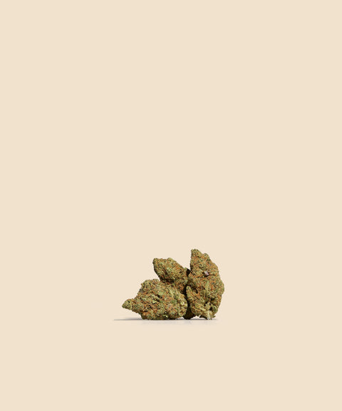 BlueBerry CBD Flower - CBD Blom