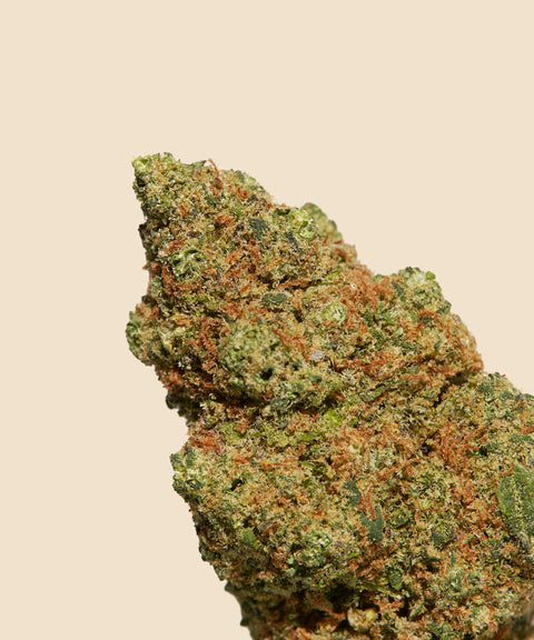 BlueBerry CBD Flower - CBD Blom