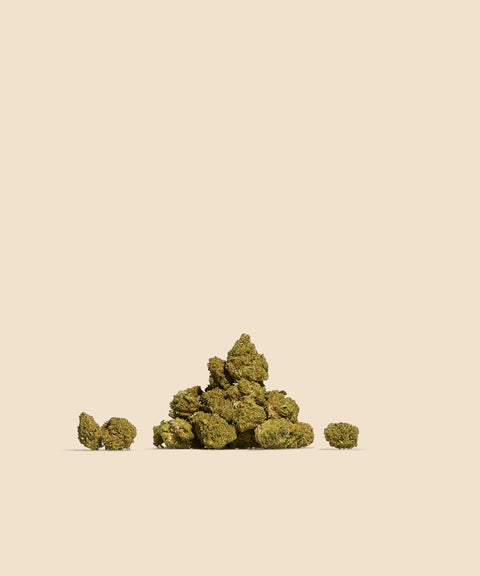Mango CBD Small Buds Autumn Promo - CBD Blom