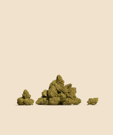 Runtz CBD Small Buds Autumn Promo - CBD Blom