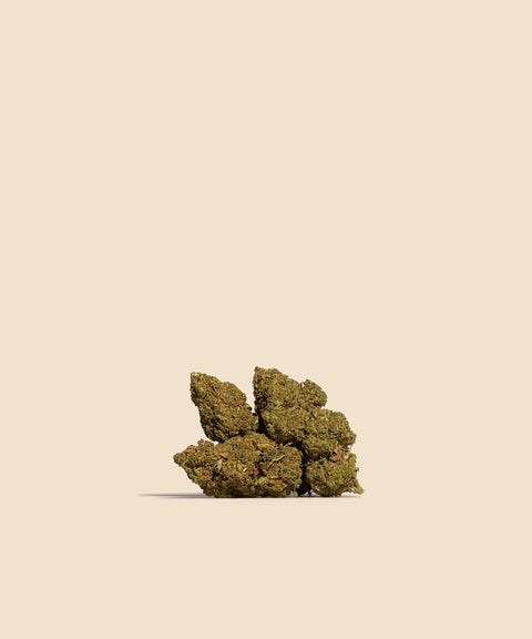 Forbidden Fruit CBD Flower Autumn Promo - CBD Blom