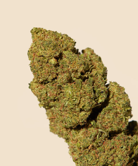 Forbidden Fruit CBD Flower Autumn Promo - CBD Blom