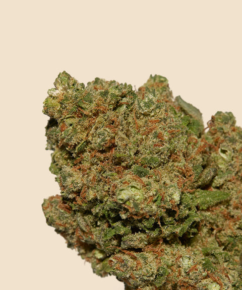 Gorilla Glue Hybrid CBD Flower Autumn Promo - CBD Blom