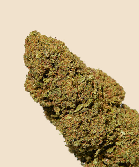 Mango CBD Flower - CBD Blom