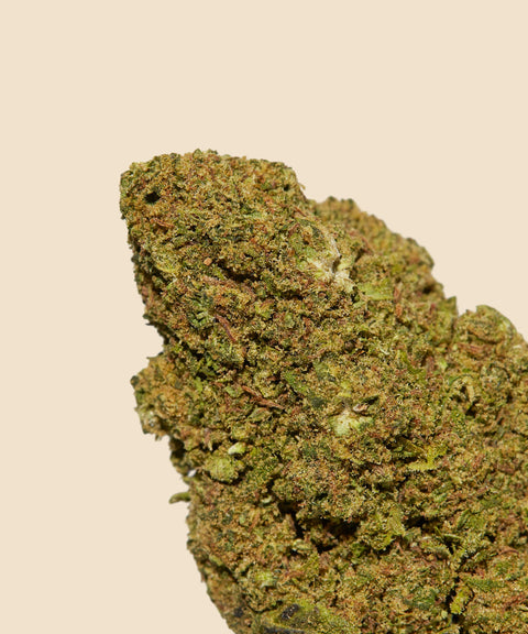 Zkittelz CBD Flower Autumn Promo - CBD Blom