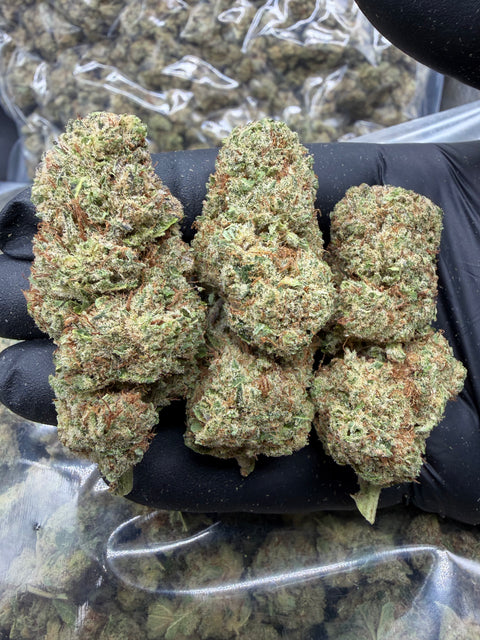 Alien Fruit CBD Flower - CBD Blom