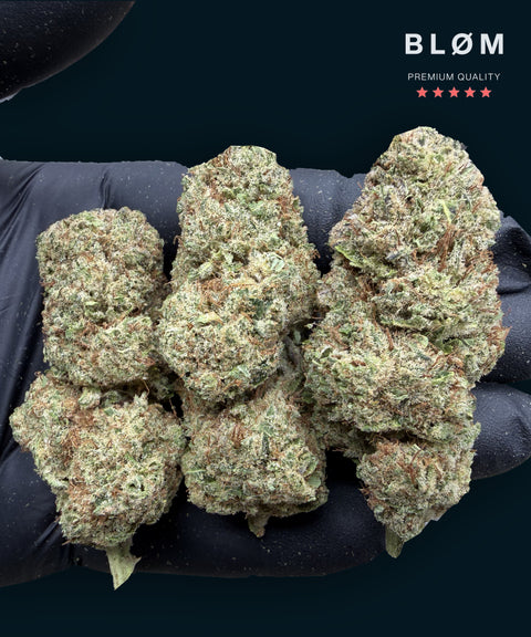 Alien Fruit CBD Flower - CBD Blom