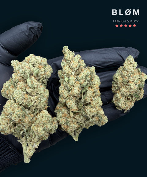 Amnesia Haze CBD Flower