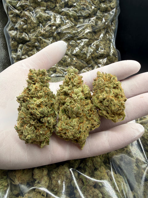 Northern Light CBD Flower - CBD Blom