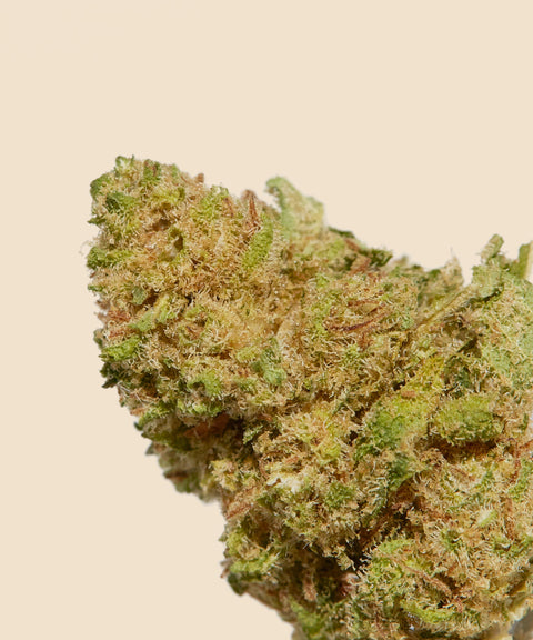 Mango CBD Small Buds - CBD Blom