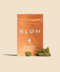Runtz CBD Small Buds Autumn Promo - CBD Blom