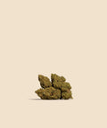 Critical CBD Flower Autumn Promo - CBD Blom
