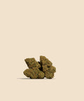 Mango CBD Flower - CBD Blom