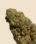 Northern Light CBD Flower - CBD Blom